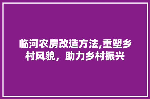 临河农房改造方法,重塑乡村风貌，助力乡村振兴