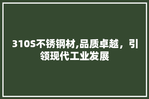 310S不锈钢材,品质卓越，引领现代工业发展