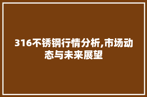 316不锈钢行情分析,市场动态与未来展望