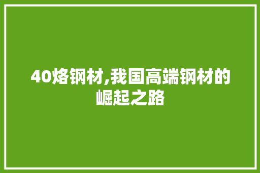 40烙钢材,我国高端钢材的崛起之路