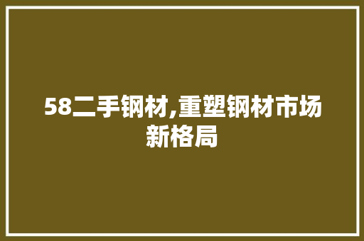 58二手钢材,重塑钢材市场新格局