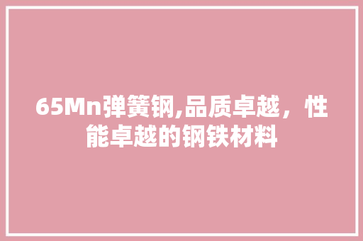 65Mn弹簧钢,品质卓越，性能卓越的钢铁材料