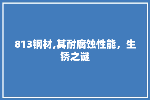 813钢材,其耐腐蚀性能，生锈之谜