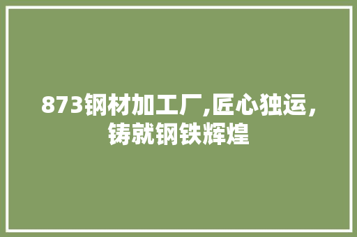 873钢材加工厂,匠心独运，铸就钢铁辉煌