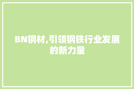 BN钢材,引领钢铁行业发展的新力量