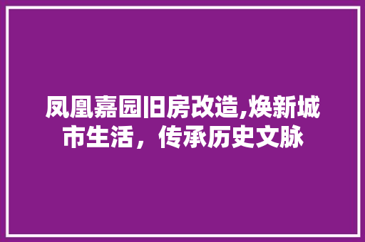 凤凰嘉园旧房改造,焕新城市生活，传承历史文脉