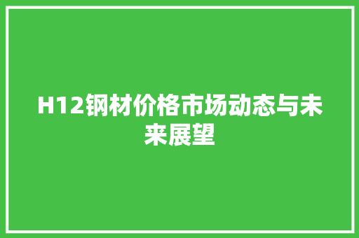 H12钢材价格市场动态与未来展望