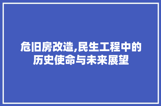 危旧房改造,民生工程中的历史使命与未来展望