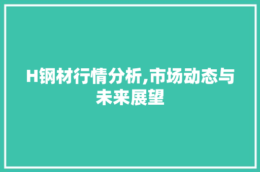 H钢材行情分析,市场动态与未来展望