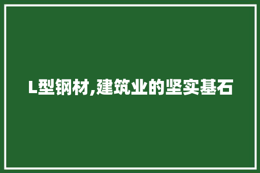 L型钢材,建筑业的坚实基石