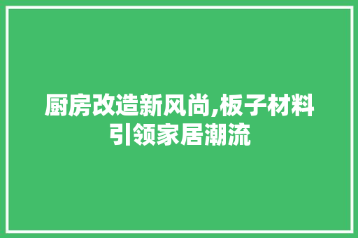 厨房改造新风尚,板子材料引领家居潮流