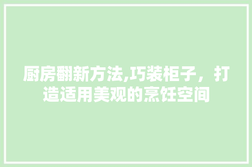 厨房翻新方法,巧装柜子，打造适用美观的烹饪空间