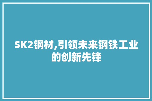 SK2钢材,引领未来钢铁工业的创新先锋