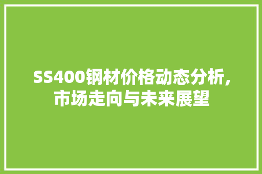 SS400钢材价格动态分析,市场走向与未来展望