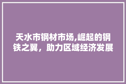 天水市钢材市场,崛起的钢铁之翼，助力区域经济发展