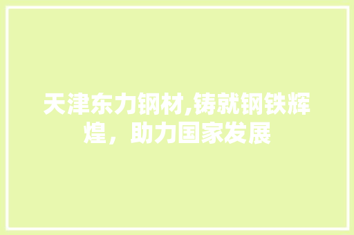天津东力钢材,铸就钢铁辉煌，助力国家发展