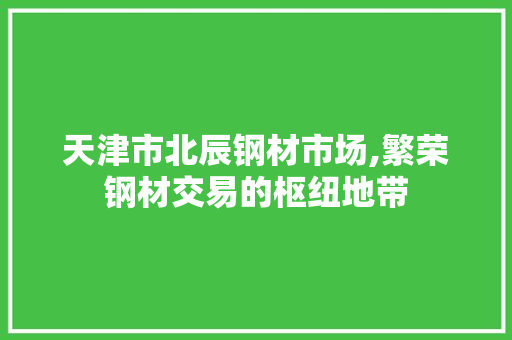 天津市北辰钢材市场,繁荣钢材交易的枢纽地带