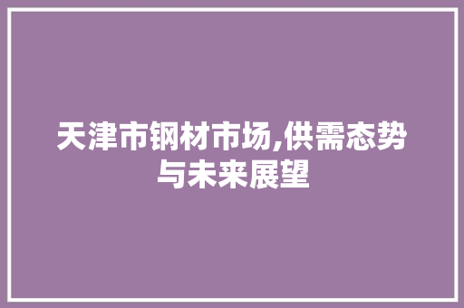 天津市钢材市场,供需态势与未来展望