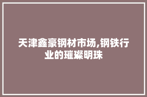 天津鑫豪钢材市场,钢铁行业的璀璨明珠