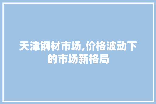 天津钢材市场,价格波动下的市场新格局