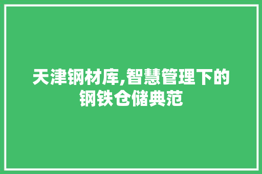 天津钢材库,智慧管理下的钢铁仓储典范