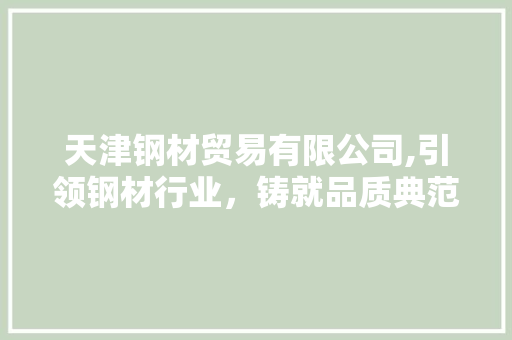 天津钢材贸易有限公司,引领钢材行业，铸就品质典范