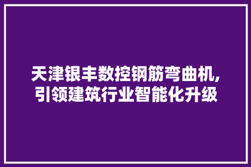 天津银丰数控钢筋弯曲机,引领建筑行业智能化升级