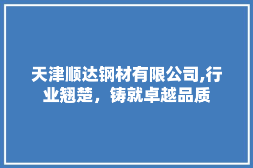 天津顺达钢材有限公司,行业翘楚，铸就卓越品质