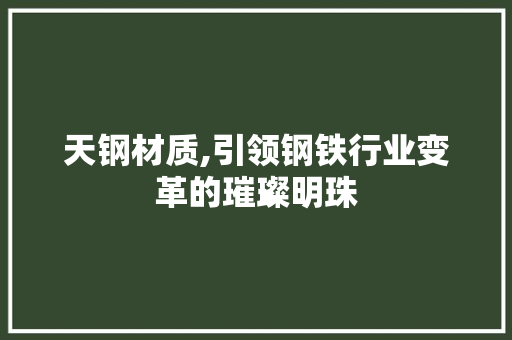 天钢材质,引领钢铁行业变革的璀璨明珠