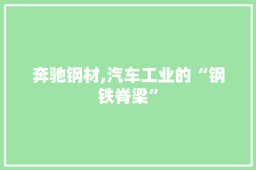 奔驰钢材,汽车工业的“钢铁脊梁”