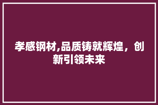 孝感钢材,品质铸就辉煌，创新引领未来