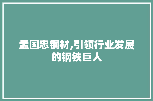 孟国忠钢材,引领行业发展的钢铁巨人