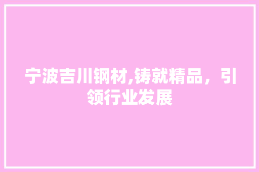 宁波吉川钢材,铸就精品，引领行业发展