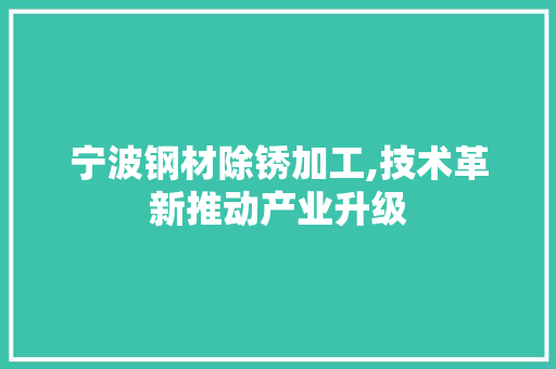 宁波钢材除锈加工,技术革新推动产业升级
