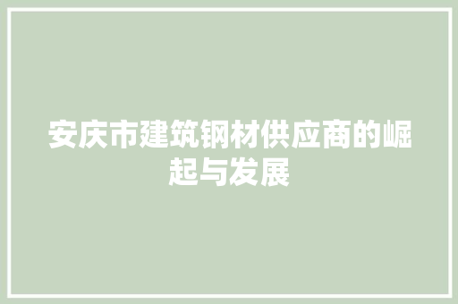 安庆市建筑钢材供应商的崛起与发展