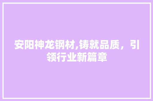 安阳神龙钢材,铸就品质，引领行业新篇章