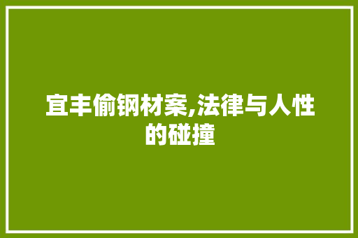 宜丰偷钢材案,法律与人性的碰撞