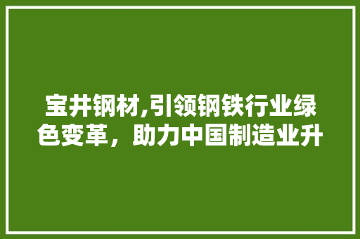 宝井钢材,引领钢铁行业绿色变革，助力中国制造业升级