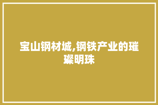 宝山钢材城,钢铁产业的璀璨明珠