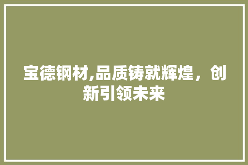 宝德钢材,品质铸就辉煌，创新引领未来
