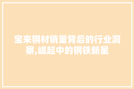 宝来钢材销量背后的行业洞察,崛起中的钢铁新星