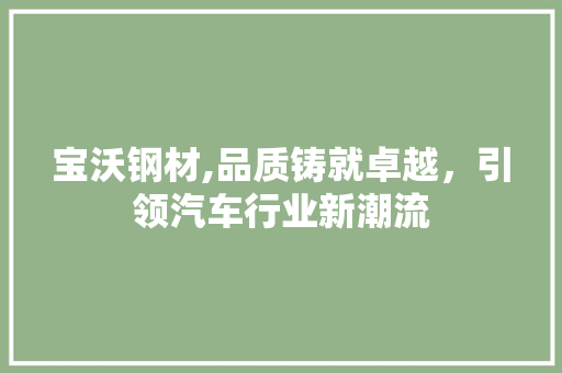 宝沃钢材,品质铸就卓越，引领汽车行业新潮流