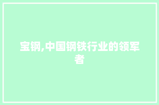 宝钢,中国钢铁行业的领军者