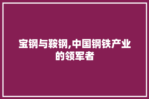 宝钢与鞍钢,中国钢铁产业的领军者