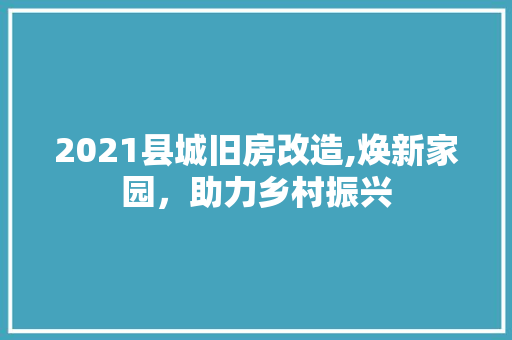 2021县城旧房改造,焕新家园，助力乡村振兴