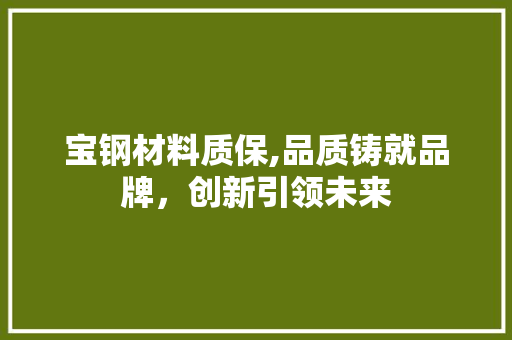 宝钢材料质保,品质铸就品牌，创新引领未来