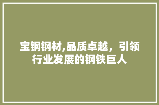 宝钢钢材,品质卓越，引领行业发展的钢铁巨人