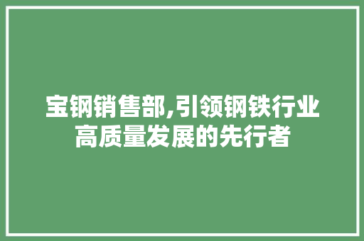 宝钢销售部,引领钢铁行业高质量发展的先行者