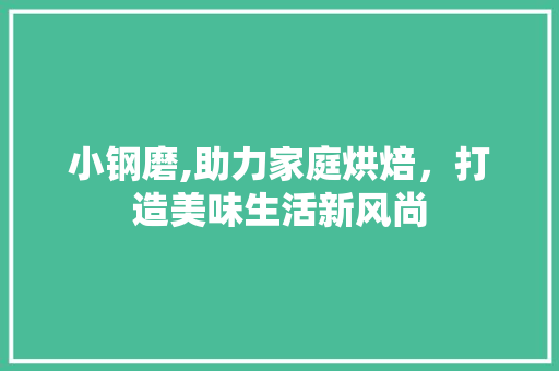 小钢磨,助力家庭烘焙，打造美味生活新风尚
