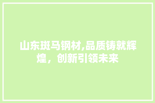 山东斑马钢材,品质铸就辉煌，创新引领未来